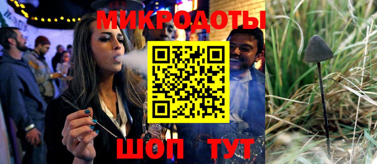 Псилоцибиновые грибы Psilocybine cubensis Менделеевск